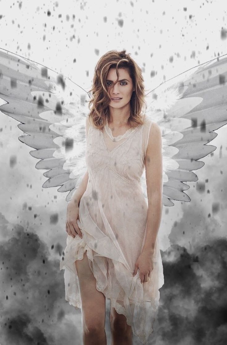 Stana Katic