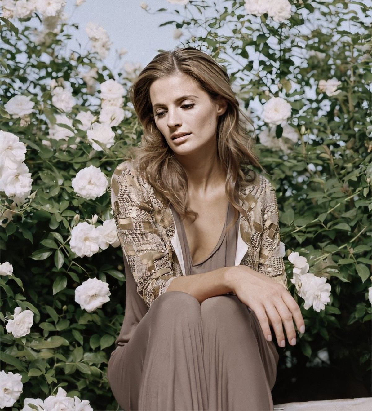 Stana Katic